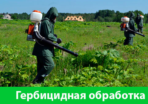 Гербицидная обработка в городе Иваново